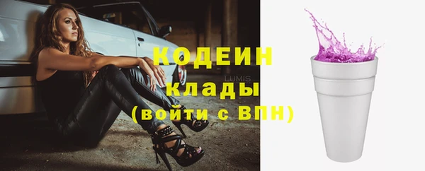 ПСИЛОЦИБИНОВЫЕ ГРИБЫ Горняк