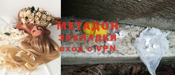 ПСИЛОЦИБИНОВЫЕ ГРИБЫ Горняк