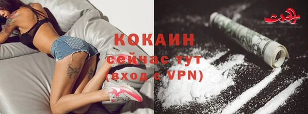 крисы Горно-Алтайск