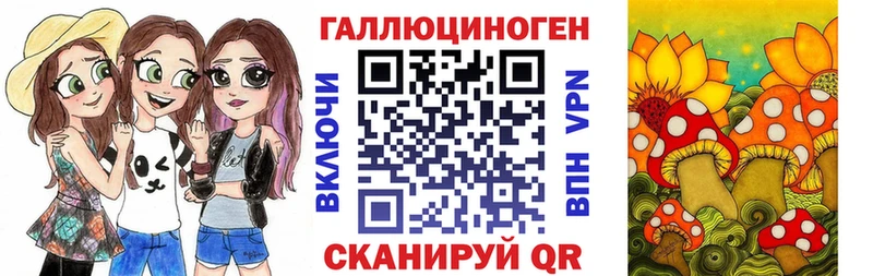 Галлюциногенные грибы Psilocybe  Пересвет 