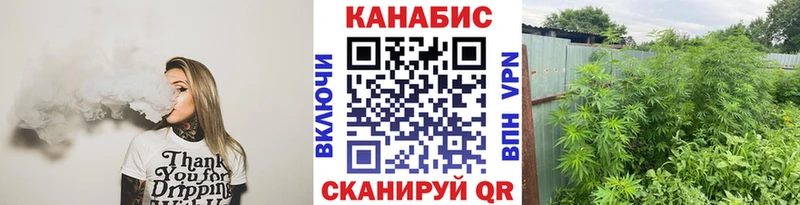 Бошки Шишки планчик Пересвет